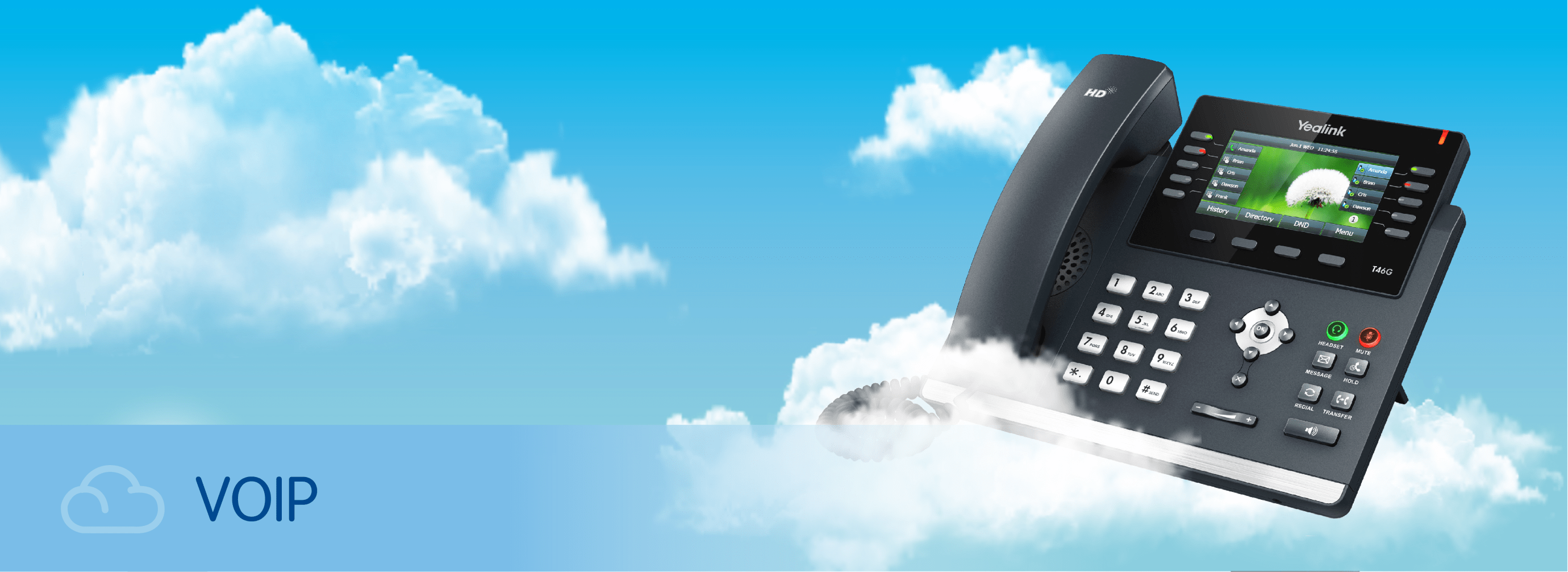 Hosted VOIP Telephony Solution